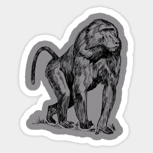 MonkeyTee Sticker